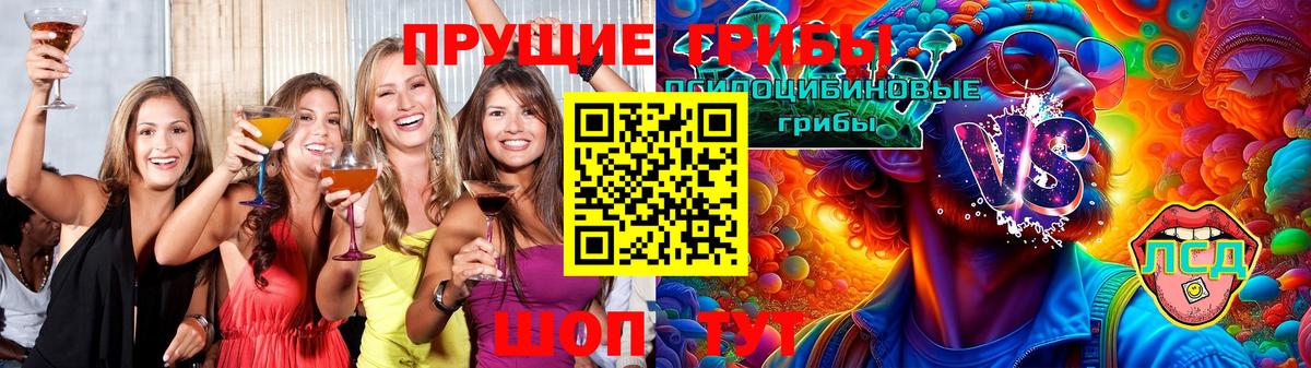 даркнет сайт  Вход с VPN  Галлюциногенные грибы MAGIC MUSHROOMS  Усть-Джегута  Псилоцибиновые грибы GOLDEN TEACHER 